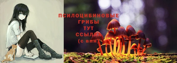 кокаин VHQ Каменка