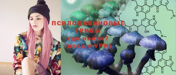 apvp Каменск-Шахтинский