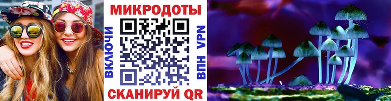 Псилоцибиновые грибы MAGIC MUSHROOMS  Купить  Клинцы 